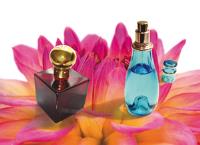 ¿Buscas un negocio en auge? ¡Las franquicias de perfumes de equivalencia son lo tuyo!