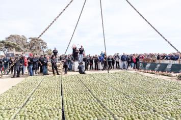 La franquicia Pura Brasa tiene el record Guiness de alcahofas a la brasa