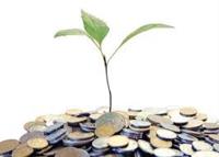 ¿Tienes una start-up ‘verde’?