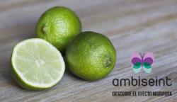 Ambiseint, ¿Por qué los aromas son un buen negocio?