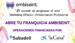 Ambiseint, un negocio con garantía de éxito