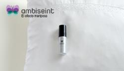Ambiseint se renueva para sus franquiciados y clientes