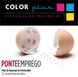Color Plus, la franquicia comprometida con el empleo 