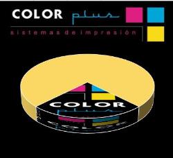 La franquicia Color Plus abre una de cada cuatro tiendas de su sector