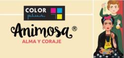 ¡Novedades en la franquicia Color Plus!