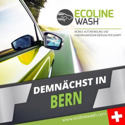¿Dónde funcionan las franquicias de auto lavado Ecoline wash?