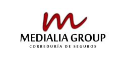 Cómo trabaja la franquicia Medialia Group 
