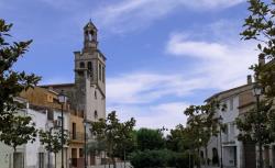 La franquicia akiwifi Girona Sud crece en la zona de Riudellots