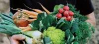 Cómo convertir la agricultura de proximidad en un negocio en internet