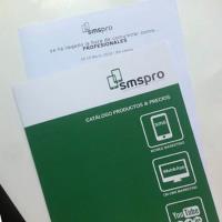 Hazte especialista del digital mobile marketing con la franquicia SMS PRO
