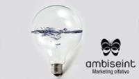 Riesgo mínimo al franquiciar con Ambiseint