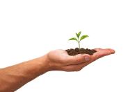 Los emprendedores sociales también atraen inversores