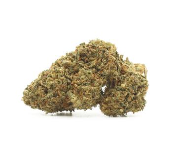 THE TREE CBD