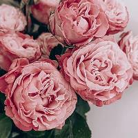 Franquicia 2 tiendas de floristería en venta en Barcelona
