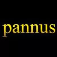 Pannus