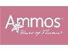 Franquicia Ammos