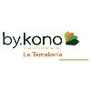 Franquicia BY.KONO