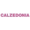 Franquicia Calzedonia