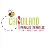 Franquicia Chk Chiquiland kids