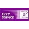 Franquicia City Service