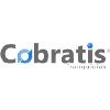 Franquicia Cobratis
