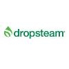 Franquicia DROPSTEAM
