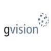 Franquicia Gvision