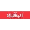 Franquicia Gallofa & Co 