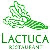 Franquicia Lactuca