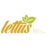 Franquicia Lettus