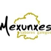 Franquicia Mexunxes