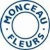 Franquicia Monceau Fleurs