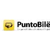 Franquicia PuntoBilë Cargador Público y Publicidad Digital