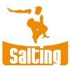 Franquicia Salting Centers
