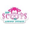 Franquicia Thai Scoops