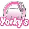 Franquicia Yorkys