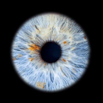 franquicia Eye Hunter franquicia Eye Hunter
