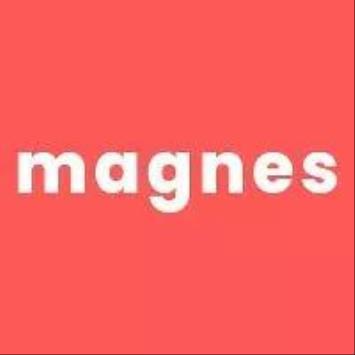 Magnes franquicia online