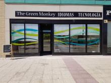 Escuela The Green Monkey