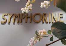 Franquicia Symphorine - imagen