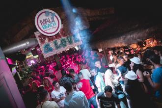 Fiesta Flower Power
