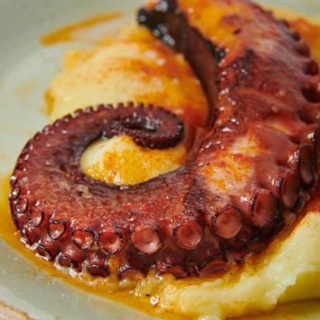 Plato estrella Pulpo con parmentier